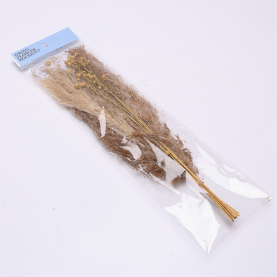 Longueur artificielle 35cm de disposition d'herbe des pampas