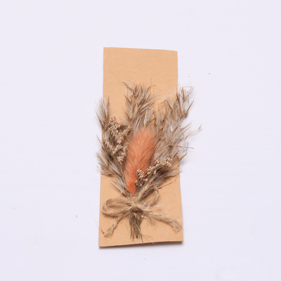 Herbe sèche naturelle colorée de Pampas 43*15cm pour l'ensemble de cadeau