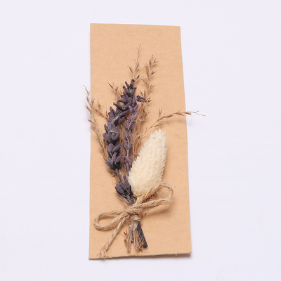 Herbe sèche naturelle colorée de Pampas 43*15cm pour l'ensemble de cadeau