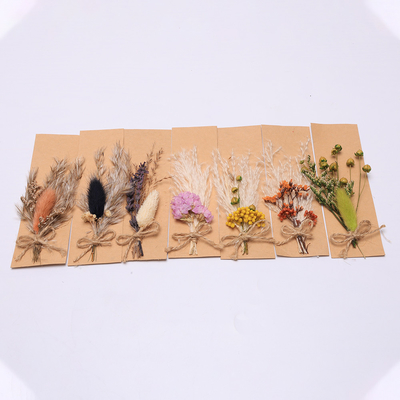 Disposition colorée 43*15cm artificiels d'herbe des pampas