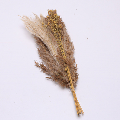 Longueur artificielle 35cm de disposition d'herbe des pampas