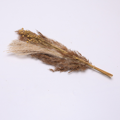 Longueur artificielle 35cm de disposition d'herbe des pampas