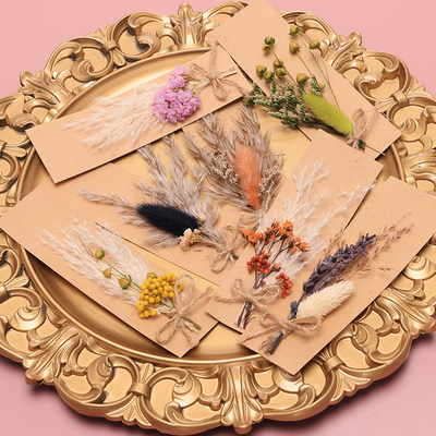 Pot-pourri naturel 43*15cm d'herbe sèche de Pampas de sac d'Opp