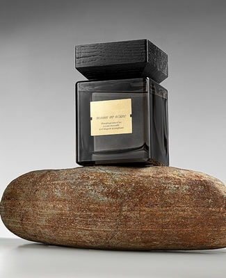 Parfums à la maison de luxe d'arome de bâton de bouteille en verre Reed Diffuser 500ml avec la boîte de paquet