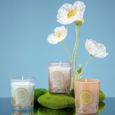 Ensemble coloré 60g 50ml de cadeau de Pinecone Reed Diffuser Scented Candle Jar de noce