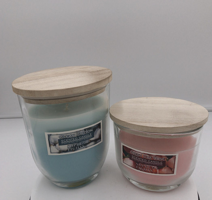 Les petites bougies faites maison de citronnelle pilotent les bougies répulsives d'intérieur