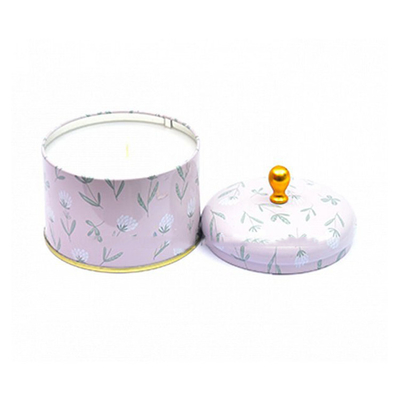 Métal parfumé fait main Tin Can Candle 100ml 250ml de cire de soja